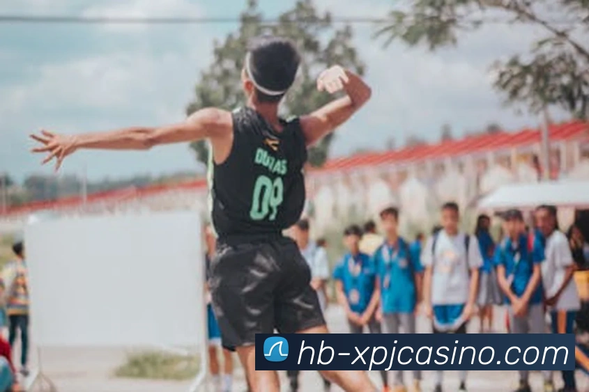 新葡京娱乐服务体系